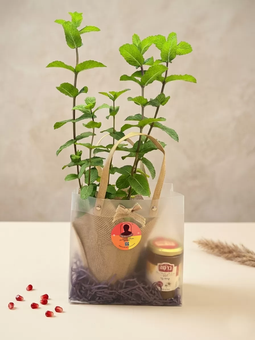 שורשים מתוקים