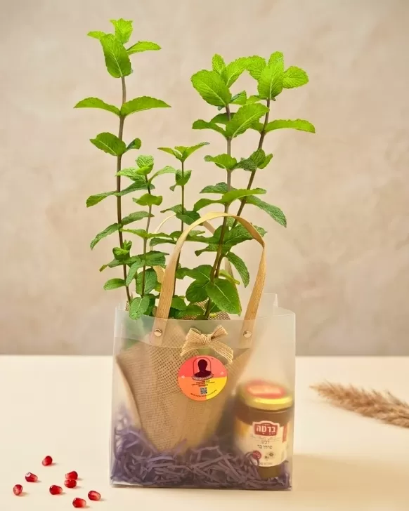 שורשים מתוקים